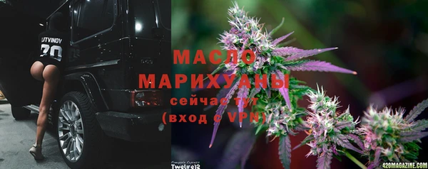 шишки Богородск