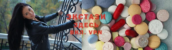 дмт Богданович