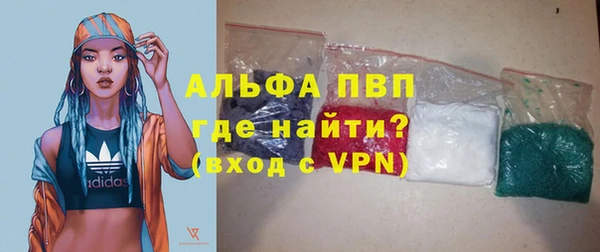дмт Богданович