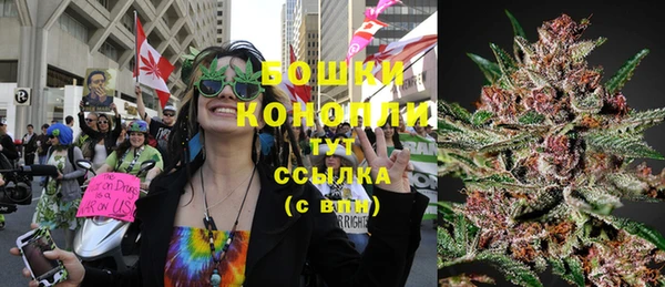 шишки Богородск