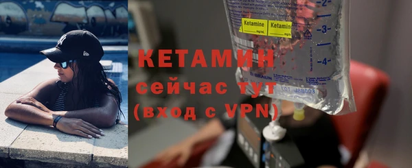 шишки Богородск