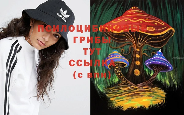 сатива Богородицк