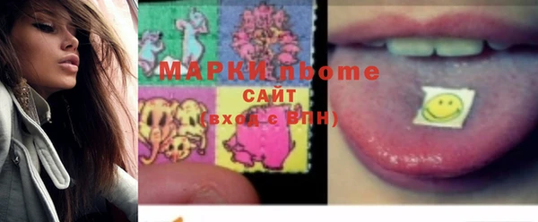 шишки Богородск