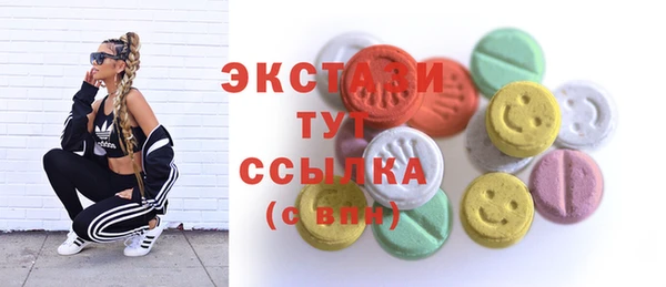 дмт Богданович