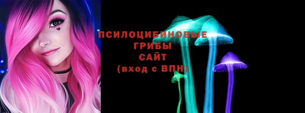 сатива Богородицк