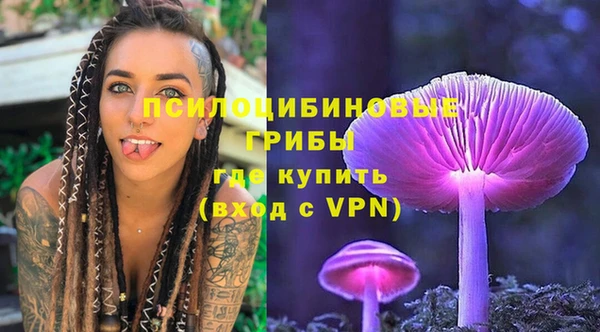 шишки Богородск