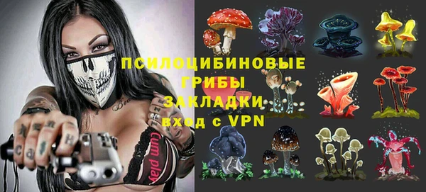 шишки Богородск