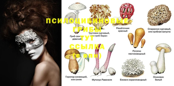 шишки Богородск