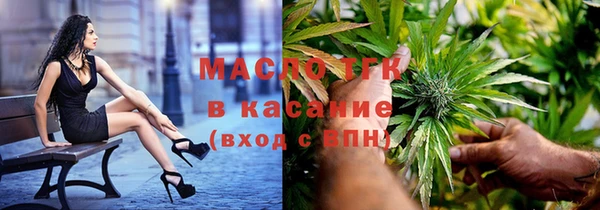 дмт Богданович