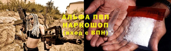 шишки Богородск