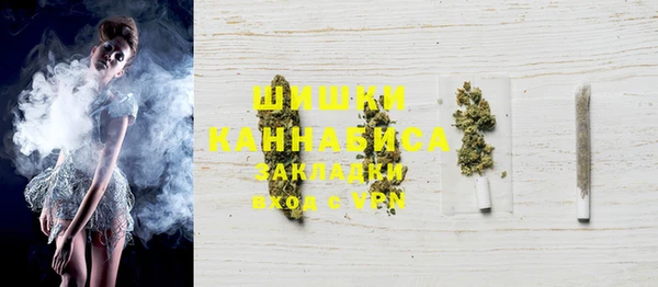 дмт Богданович