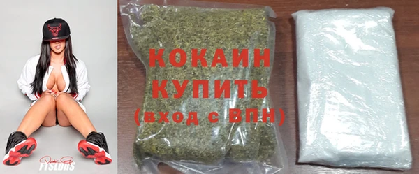 шишки Богородск