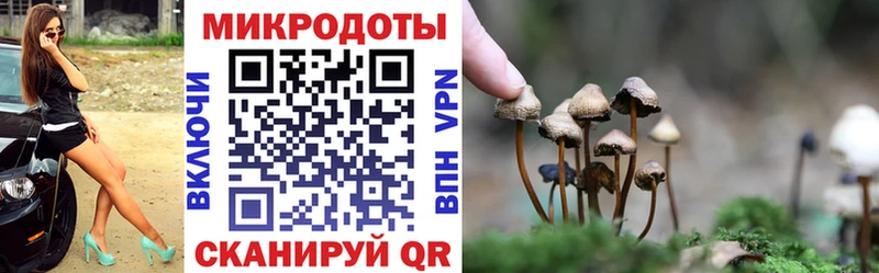 Псилоцибиновые грибы мицелий  ссылка на мегу маркетплейс  Озёрск 